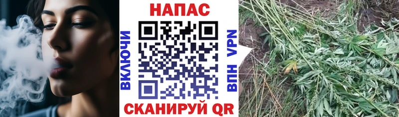 Купить наркотики Торопец Псилоцибиновые грибы Меф мяу мяу Гашиш
