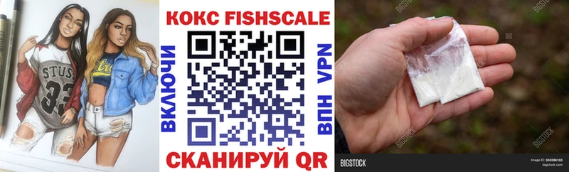 где можно купить   Торопец  Cocaine Fish Scale 