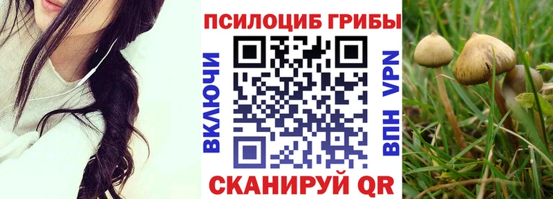 Галлюциногенные грибы Psilocybine cubensis  где можно купить наркотик  Торопец 